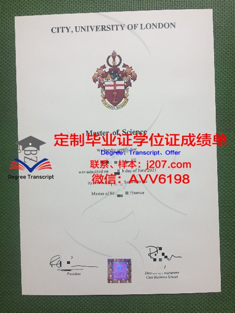 佩皮尼昂艺术学院毕业证样本