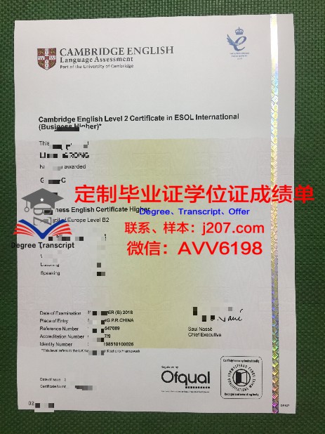 探究Seoul National学位文凭定制现象：反思与启示
