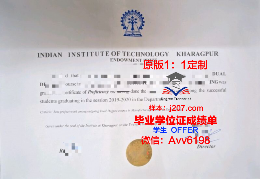 印度理工学院孟买分校本科毕业证(印度理工学院孟买分校留学)