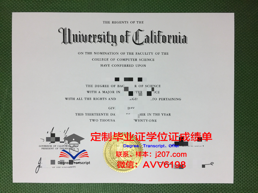 发罗拉伊斯梅尔·捷马利大学毕业证等级