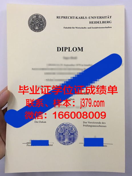 海德堡大学毕业证防伪(海德堡大学视频)