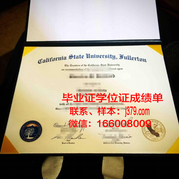 富尔顿蒙哥马利社区学院毕业证图片(纽约富尔顿蒙哥马利学院)