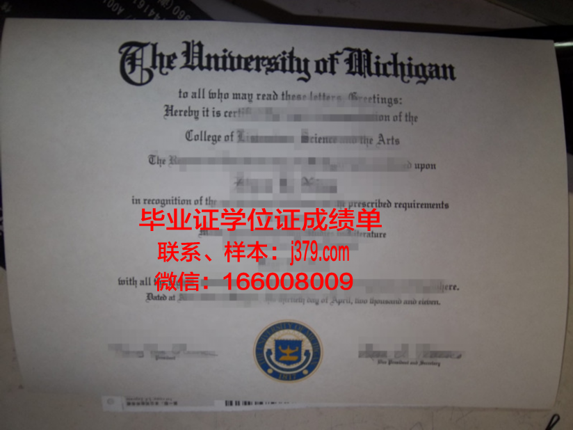 洛阳大学毕业证照片：见证青春岁月，承载荣誉与梦想