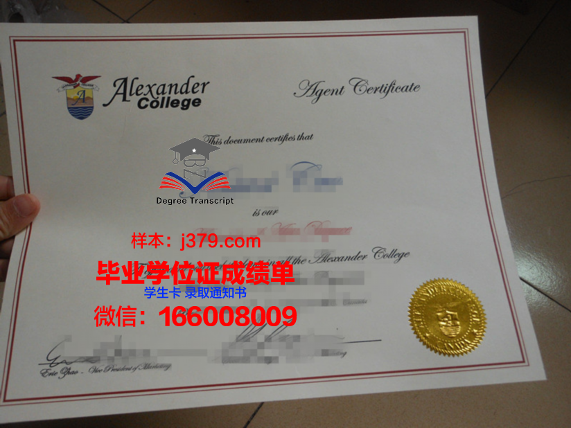 山大毕业证成绩单：一份承载荣誉与汗水的证明