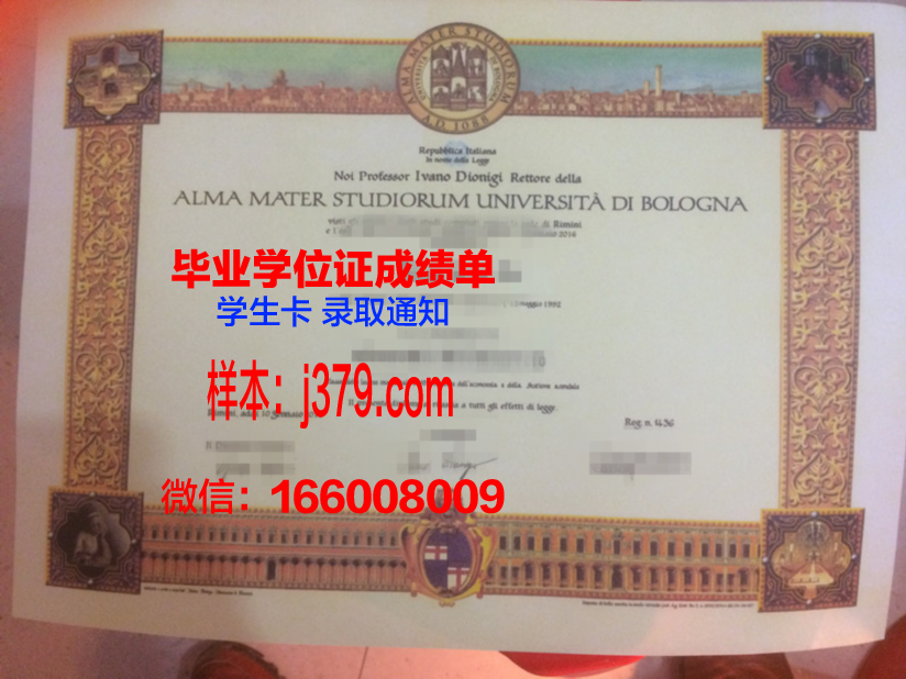 尼亚大毕业证：一张纸的重量与价值