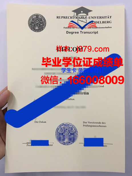 海德堡大学毕业证模板(海德堡大学本科几年)
