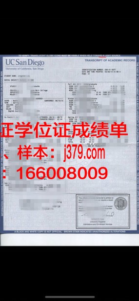 泰尔梅兹国立大学学位成绩单定制