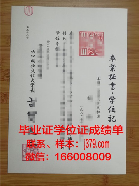 山口大学毕业证长什么样(山口大学官网)