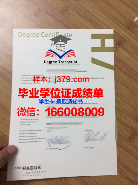 海牙大学毕业证(海外大学毕业证)