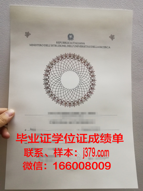 洛林大学南锡高等工程科学与技术学院毕业证书模板