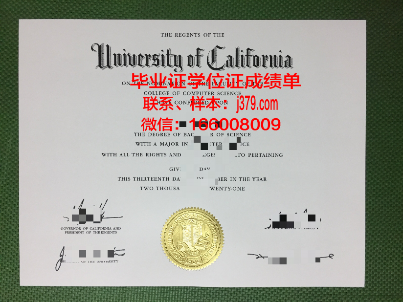 海德堡教育学院毕业证模板(海德堡大学英语授课本科)