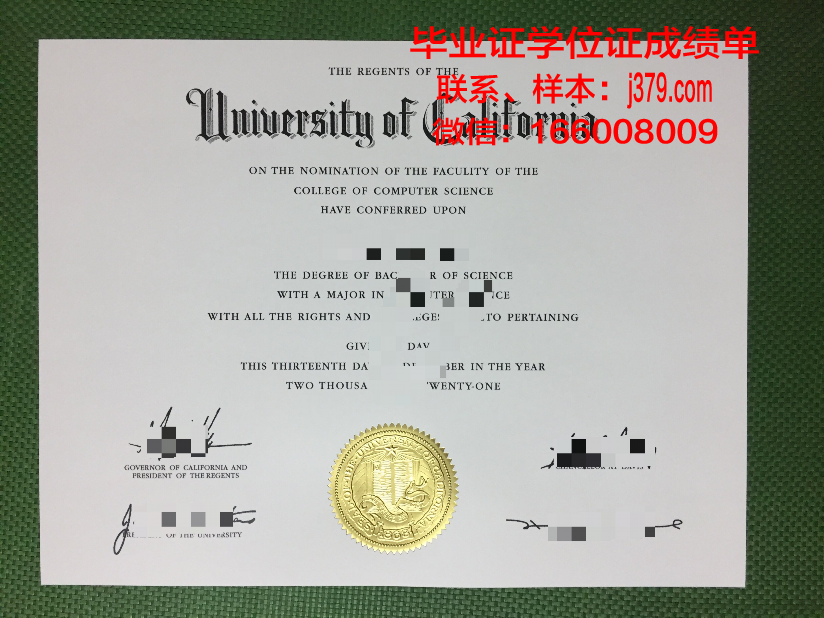 尚美学园大学毕业证样本(美院毕业证样本)