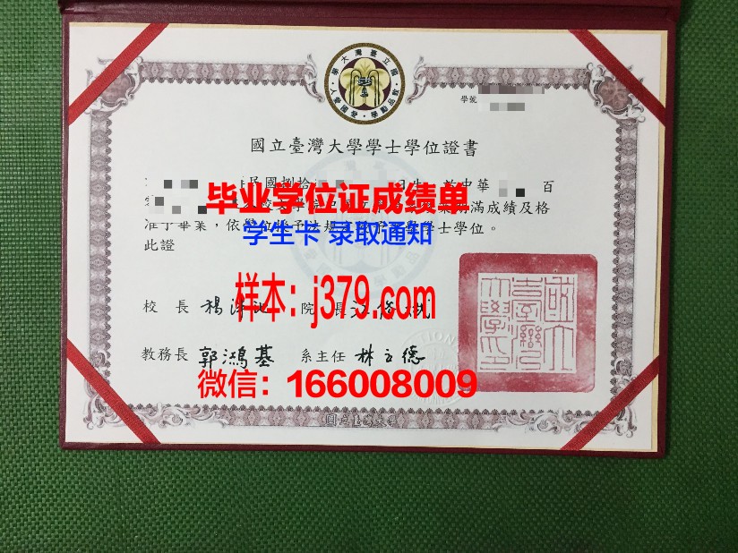 洛林大学国立高等化工学院毕业证书模板(法国洛林大学国立高等化工)
