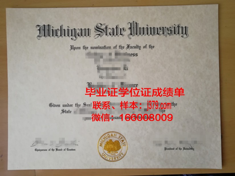 密歇根州立大学毕业证案例(密歇根州立大学本科留学)