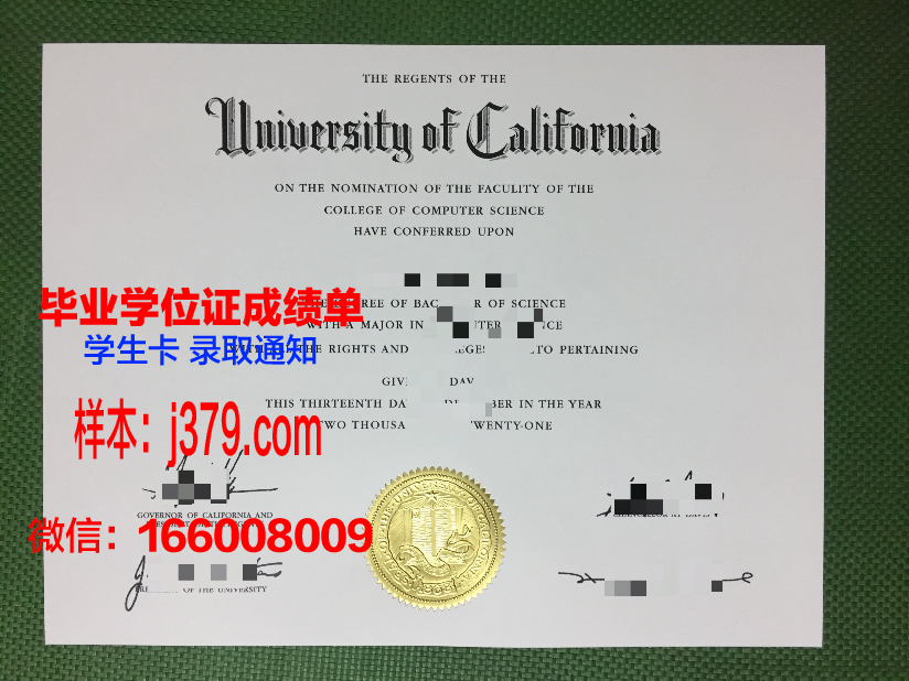 尼斯大学综合理工学院毕业证：开启国际职场大门的钥匙