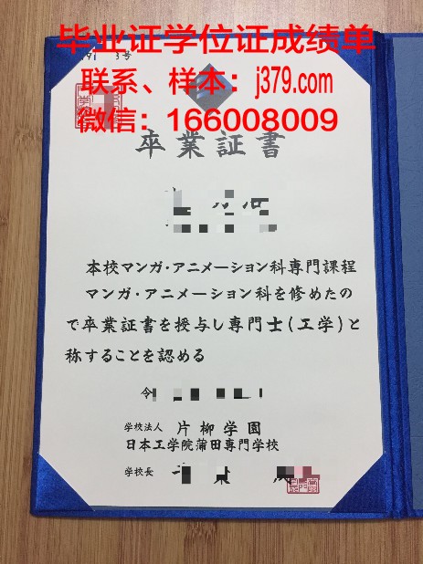 密尔沃基工学院毕业证diploma