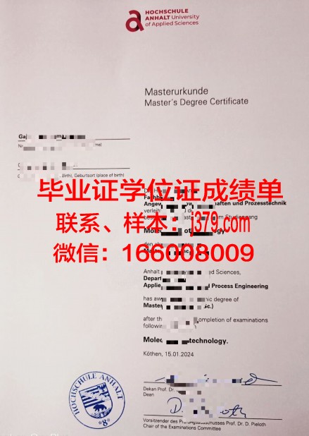 海德堡应用技术大学毕业证是什么模样(海德堡srh应用技术大学)
