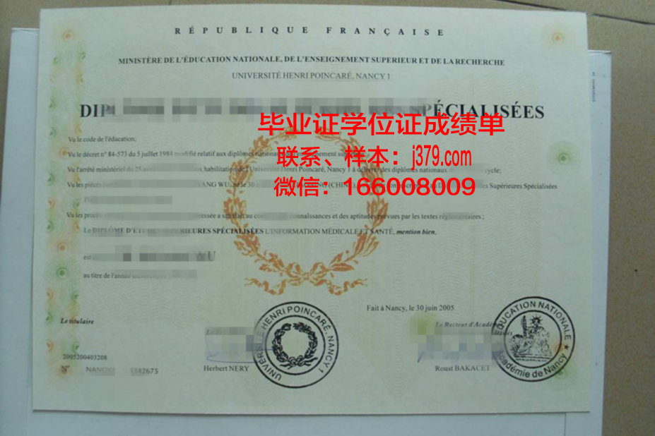 洛林大学南锡国立高等矿业学院研究生毕业证书