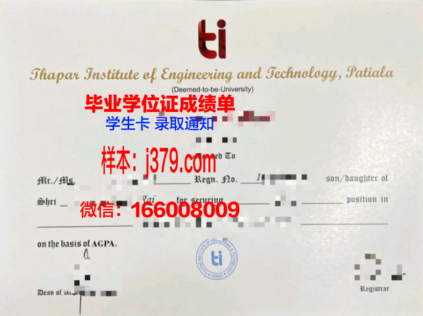洛林大学南锡高等工程科学与技术学院的毕业证啥样