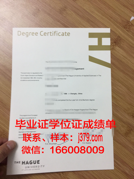 海牙应用科学大学毕业证书几月份拿到(海牙大学申请条件)