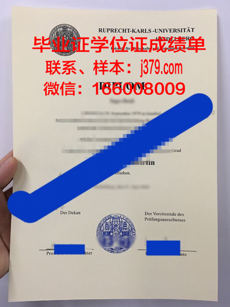 海德堡大学毕业证长什么样(海德堡大学本科申请条件)