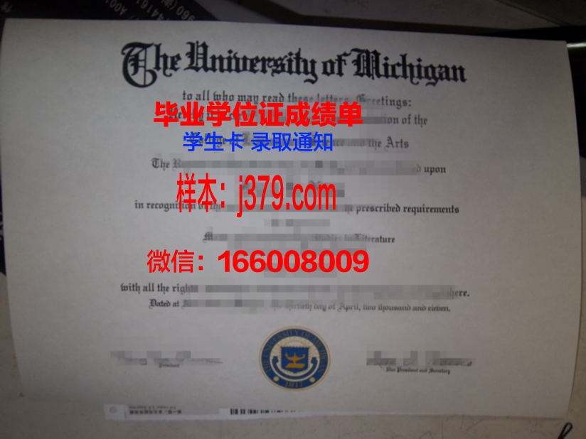 尼日利亚大学毕业证：开启未来之门的钥匙