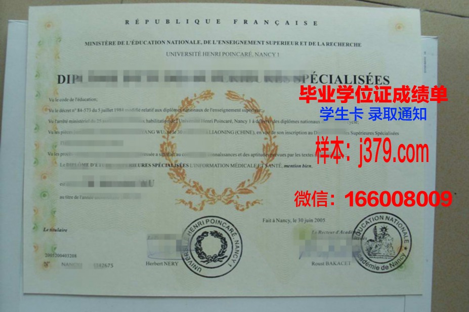 洛林大学南锡国立高等矿业学院毕业证书图片高清