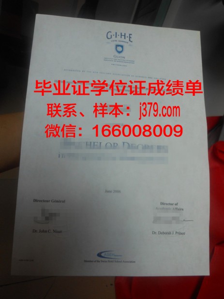 尚博里昂大学教学与研究中心毕业证照片(尚博学院)