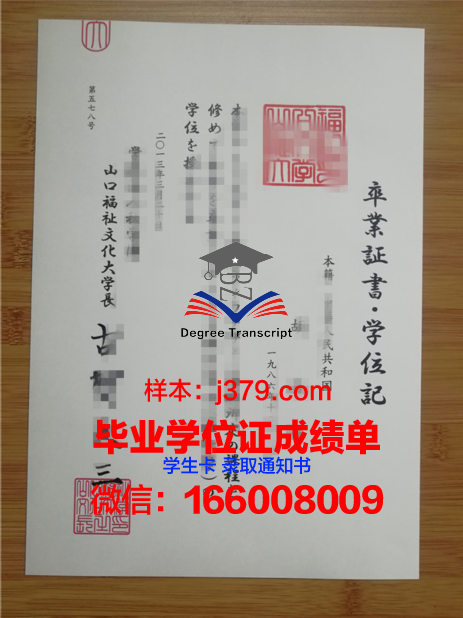 山口大学毕业证长什么样(山口大学入学要求)