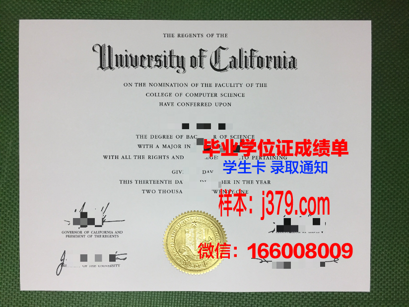 海岸毕业证：承载青春记忆的珍贵证书