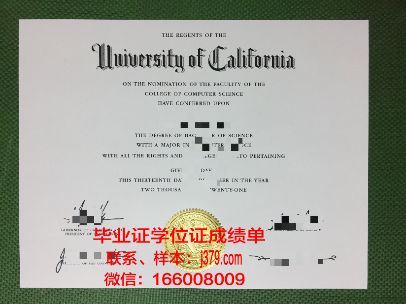 海外大学毕业证编号(国外留学毕业证编号怎么查)