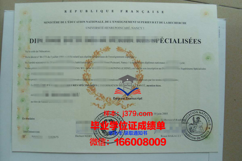 洛林大学南锡国立高等矿业学院毕业证书图片高清