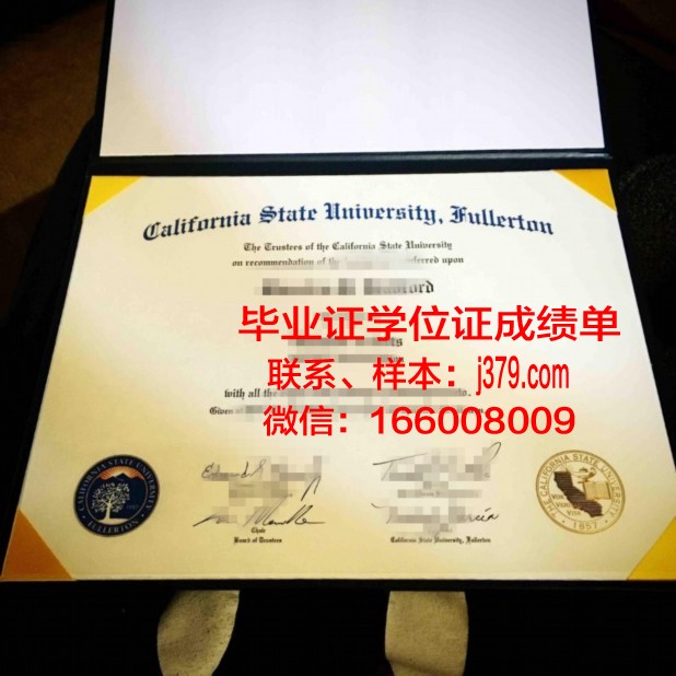 富尔顿蒙哥马利社区学院的毕业证啥样(纽约富尔顿蒙哥马利学院)