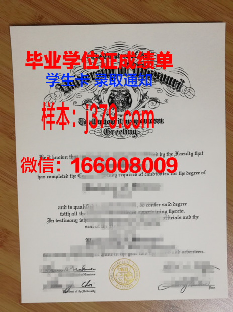 密苏里科技大学成绩单(密苏里科技大学相当于国内哪所大学)