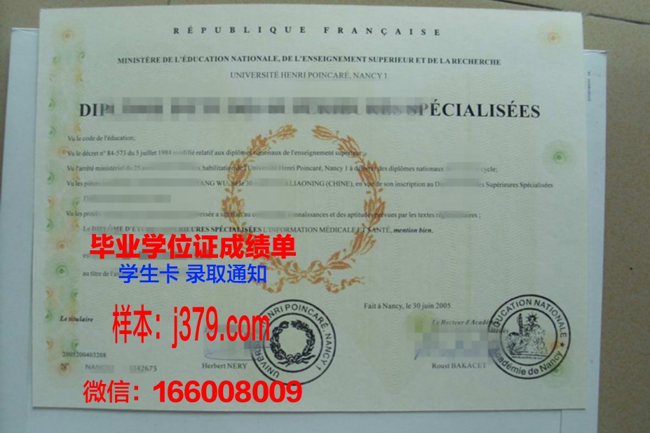 洛林大学南锡高等工程科学与技术学院本科毕业证：一张通往未来的通行证
