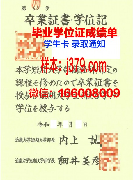 浦和大学短期大学部成绩单：一份见证成长与努力的证明