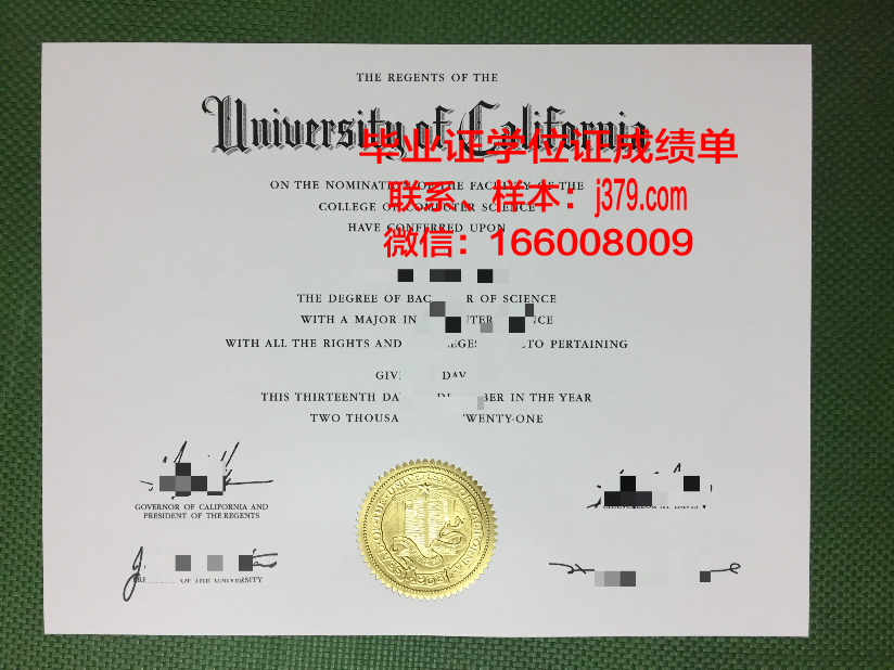 浦大毕业证：承载荣誉与梦想的象征