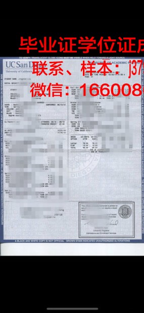 浦那大学成绩单：一张纸背后的故事与价值
