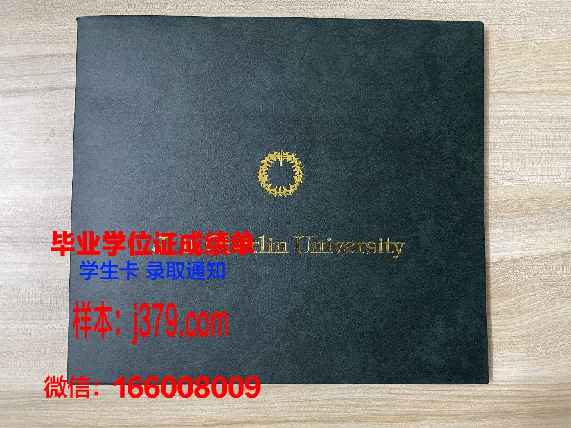 海梅一世大学毕业证是什么样子(海梅一世大学怎么申请)