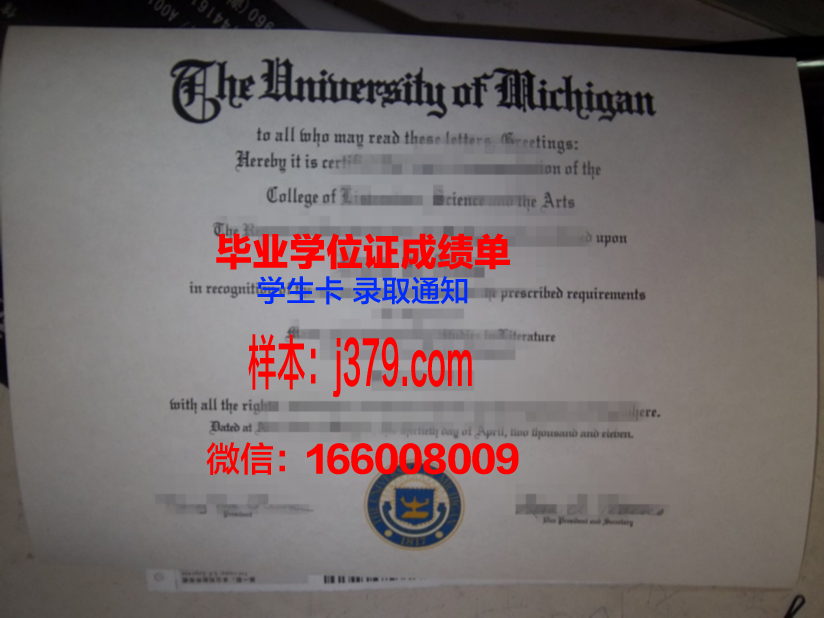 尼赫鲁科技大学毕业证是什么样子(尼赫鲁大学语言学院)