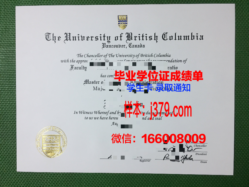 尼亚大本科学位证：开启国际化教育新篇章