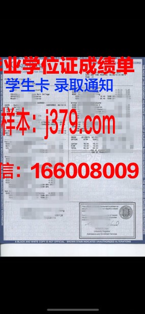 尼赫鲁科技大学成绩单：教育质量的见证
