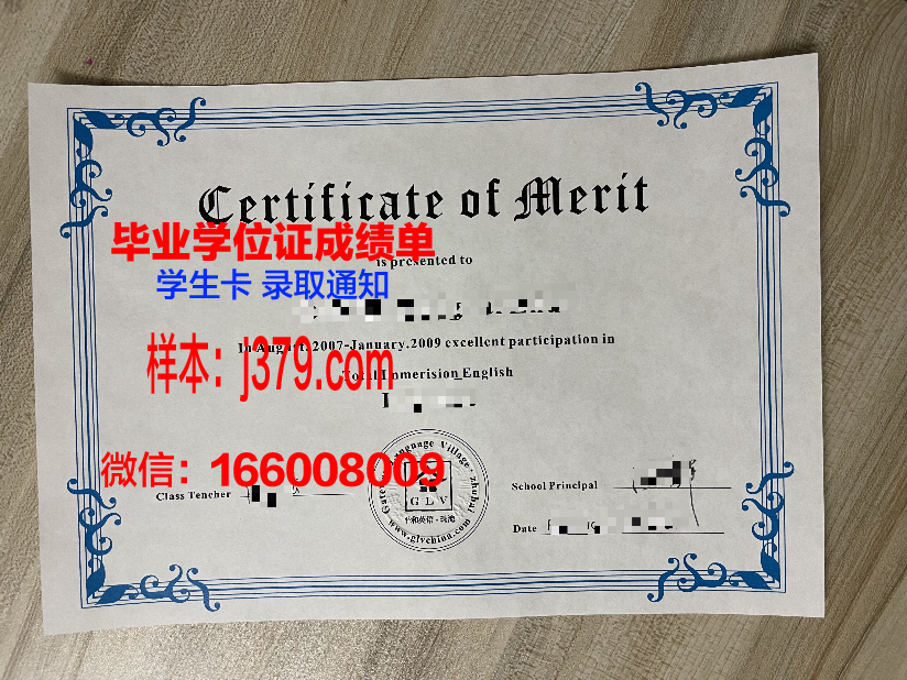 泰尔梅兹国立大学硕士毕业证书样本(泰梅尔的结业证书)