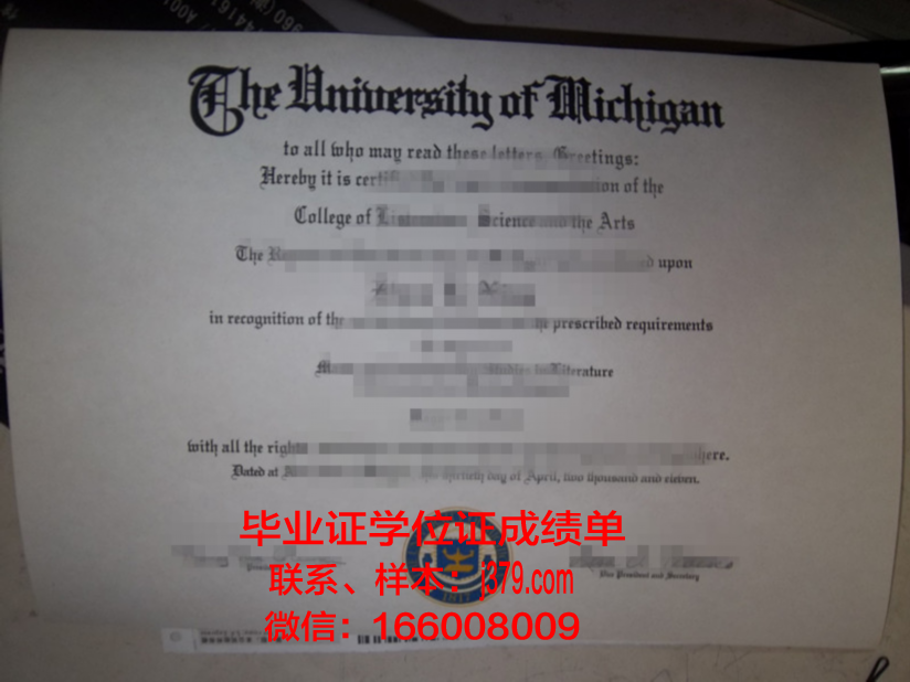 海外电子毕业证(海外电子毕业证怎么查询)