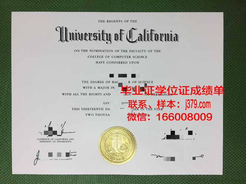 尼尔森马尔伯勒理工学院硕士毕业证：开启国际化教育新篇章