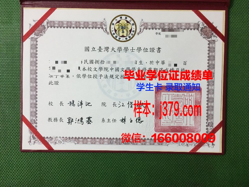 洛林大学国立高等化工学院diploma证书(洛林理工)