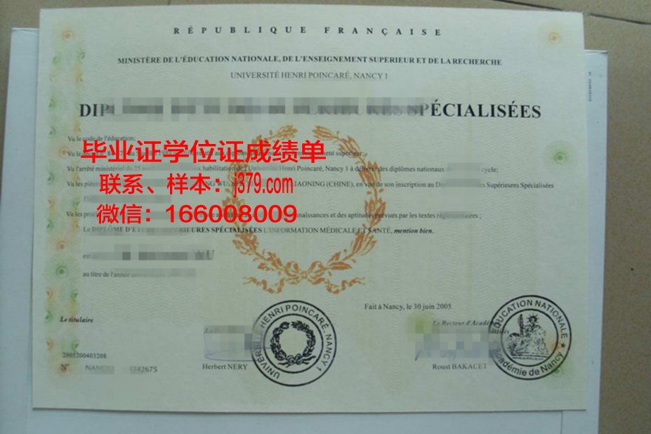 洛林大学南锡国立高等矿业学院毕业证封面
