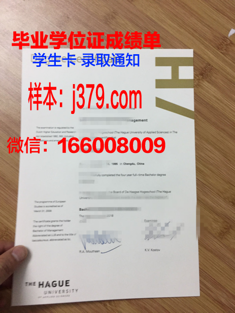 海牙应用科学大学毕业证(海牙应用科技大学)
