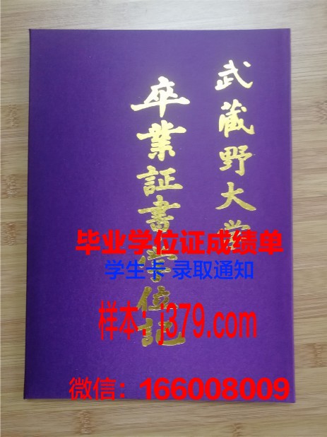 洛林大学梅斯国立工程师学院毕业证壳子(洛林大学梅斯校区)