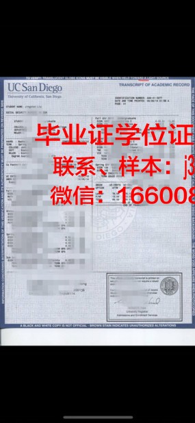 国政大成绩单：见证国家发展的辉煌历程